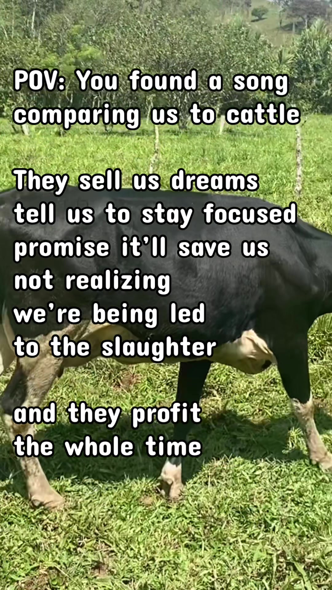 @Frances Farmhead