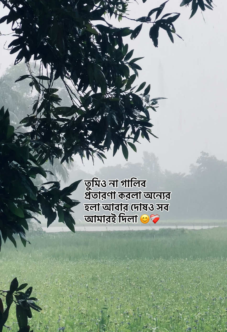 @_নিখোঁজ_