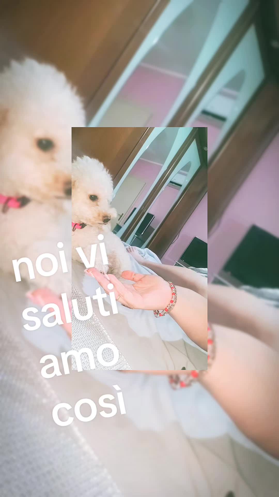 @Ade362 😊