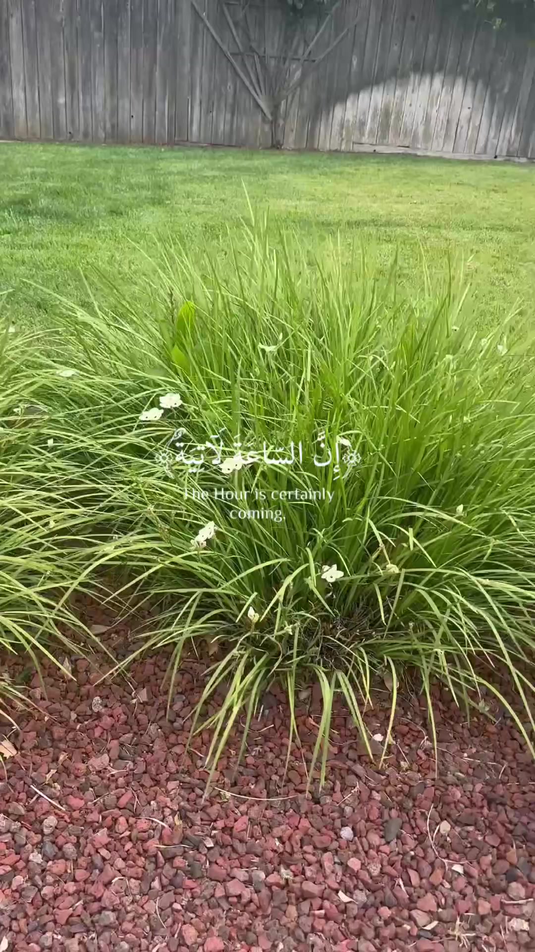 @Mursal