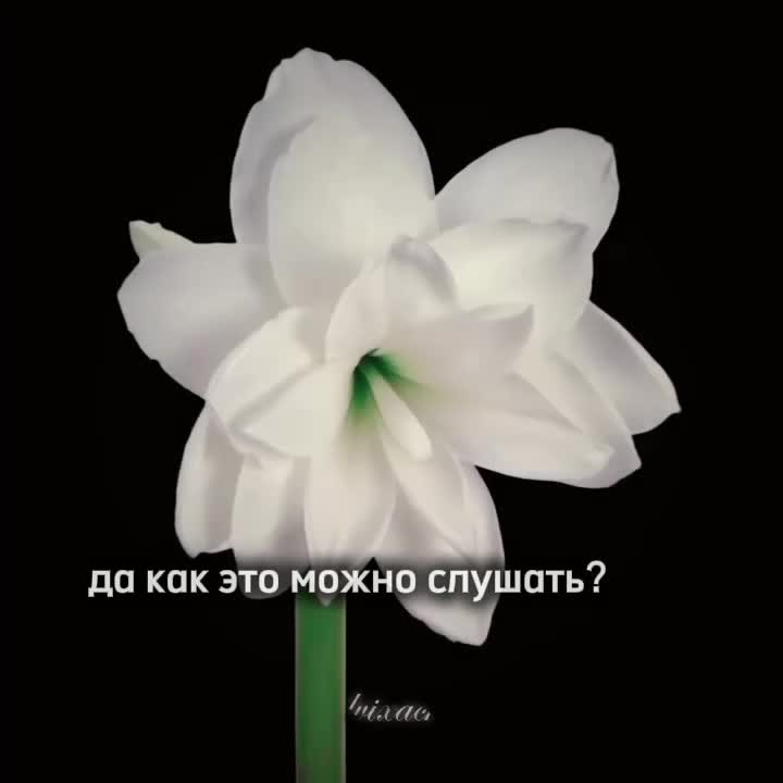 @целую