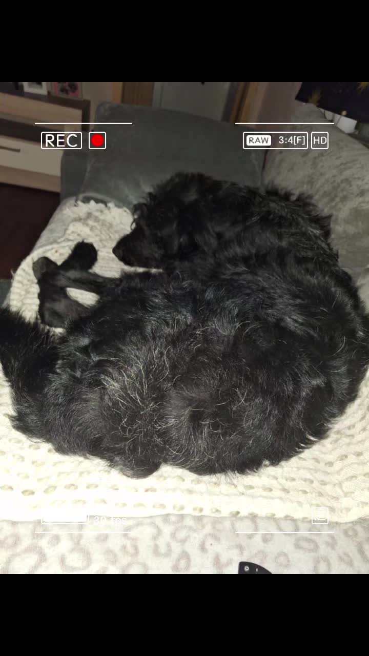 @Strobelmix Frauchen