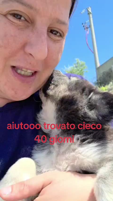 @Maria Rosaria Natill