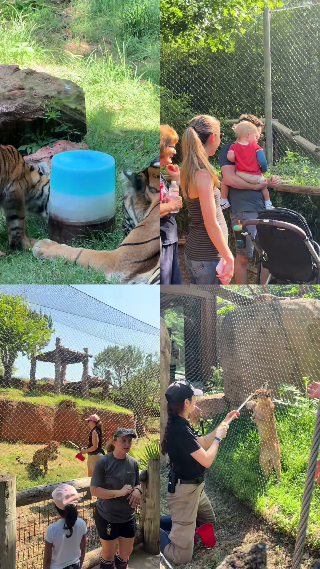 @okczoo