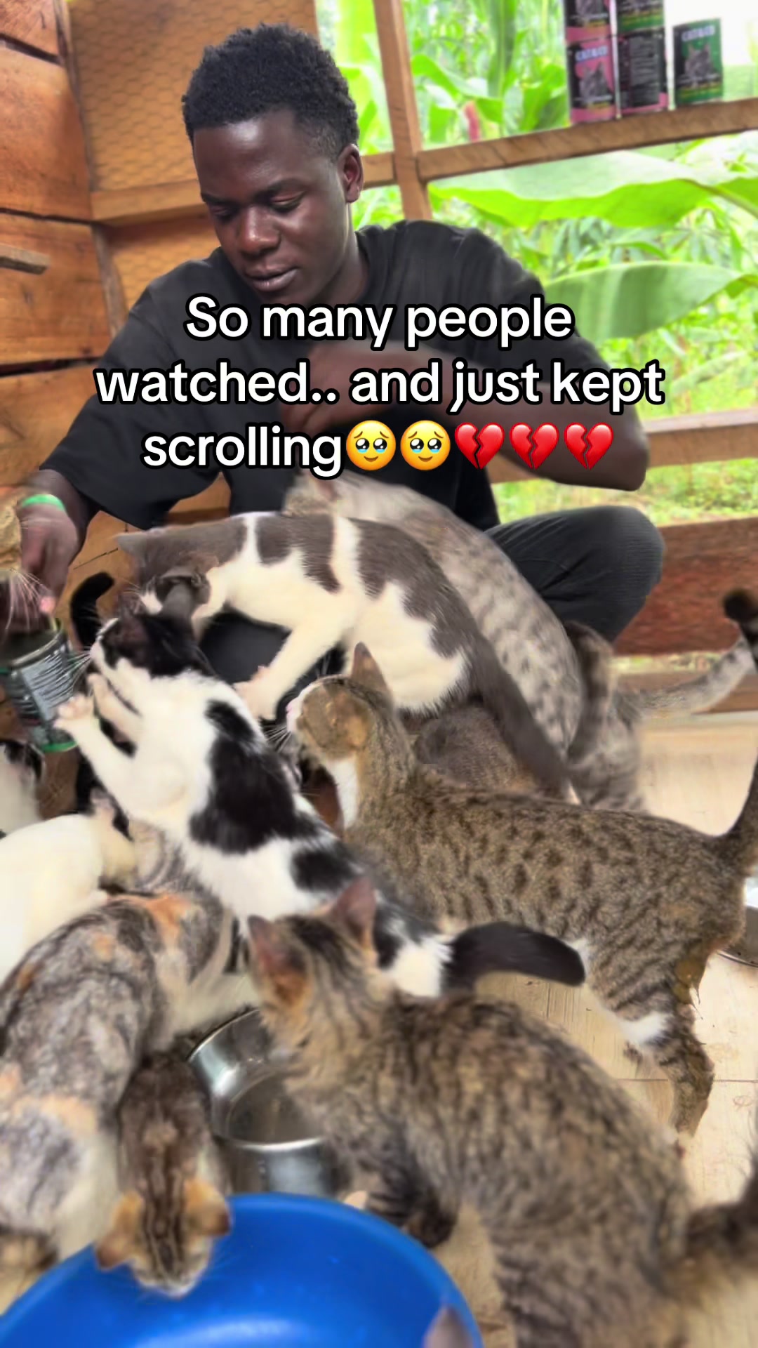 @Dad for all cats and dogs 🐶🐱