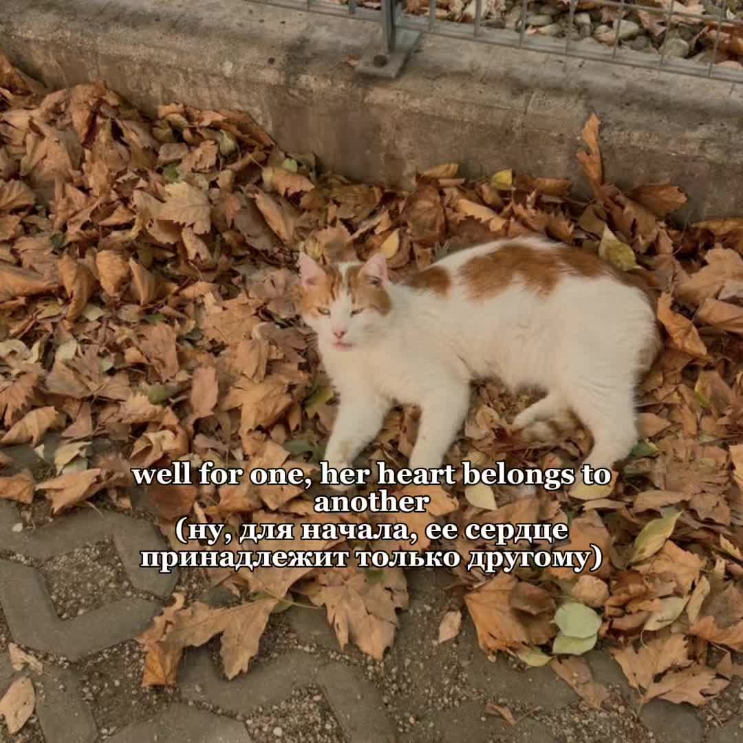 @нэнси
