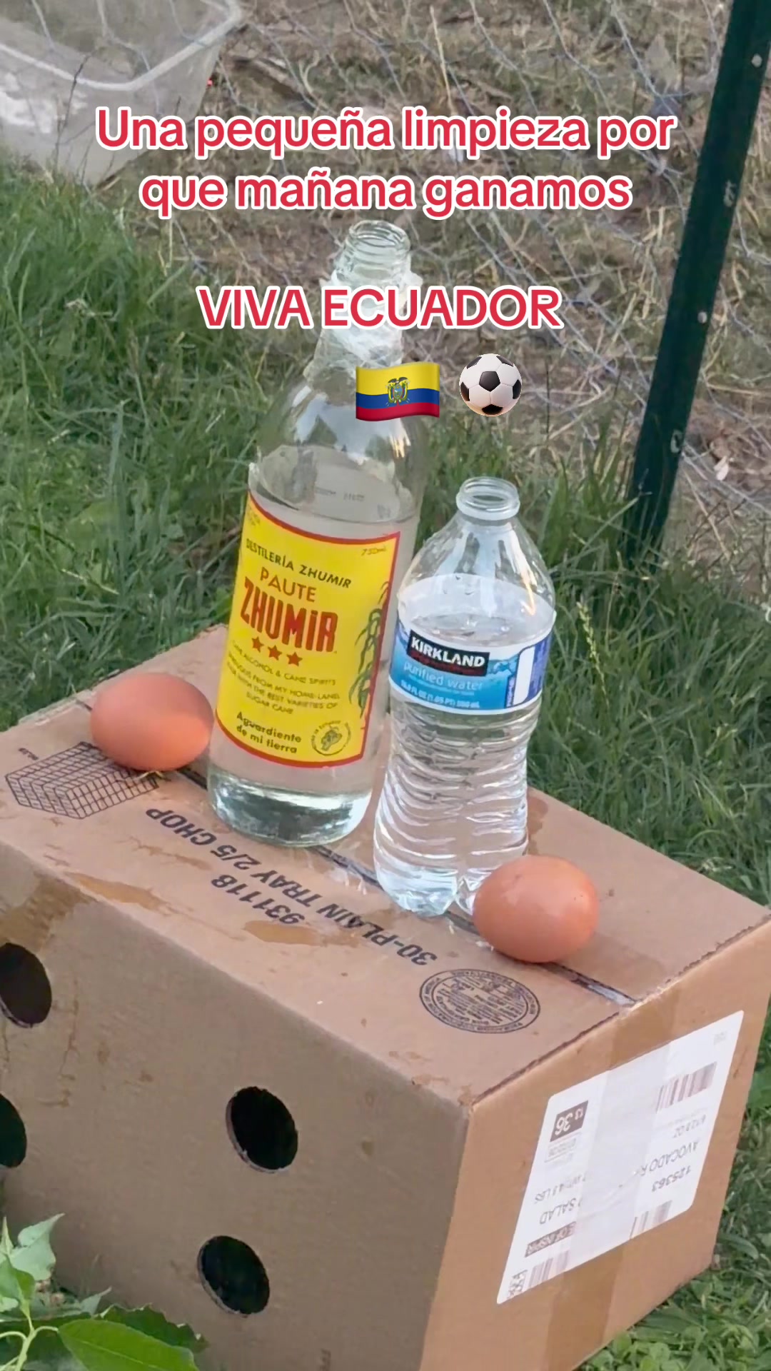 @antonio uzho.