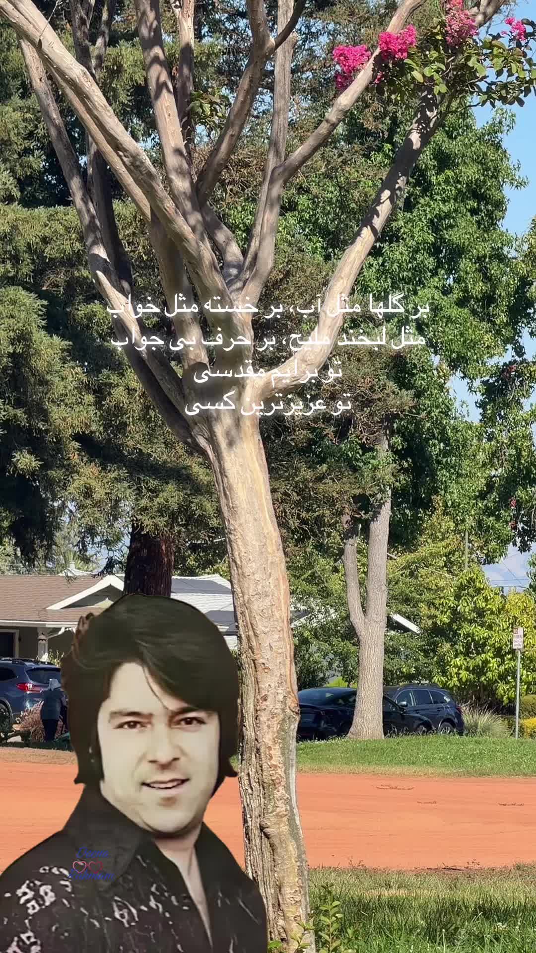 @Deena Rahmani