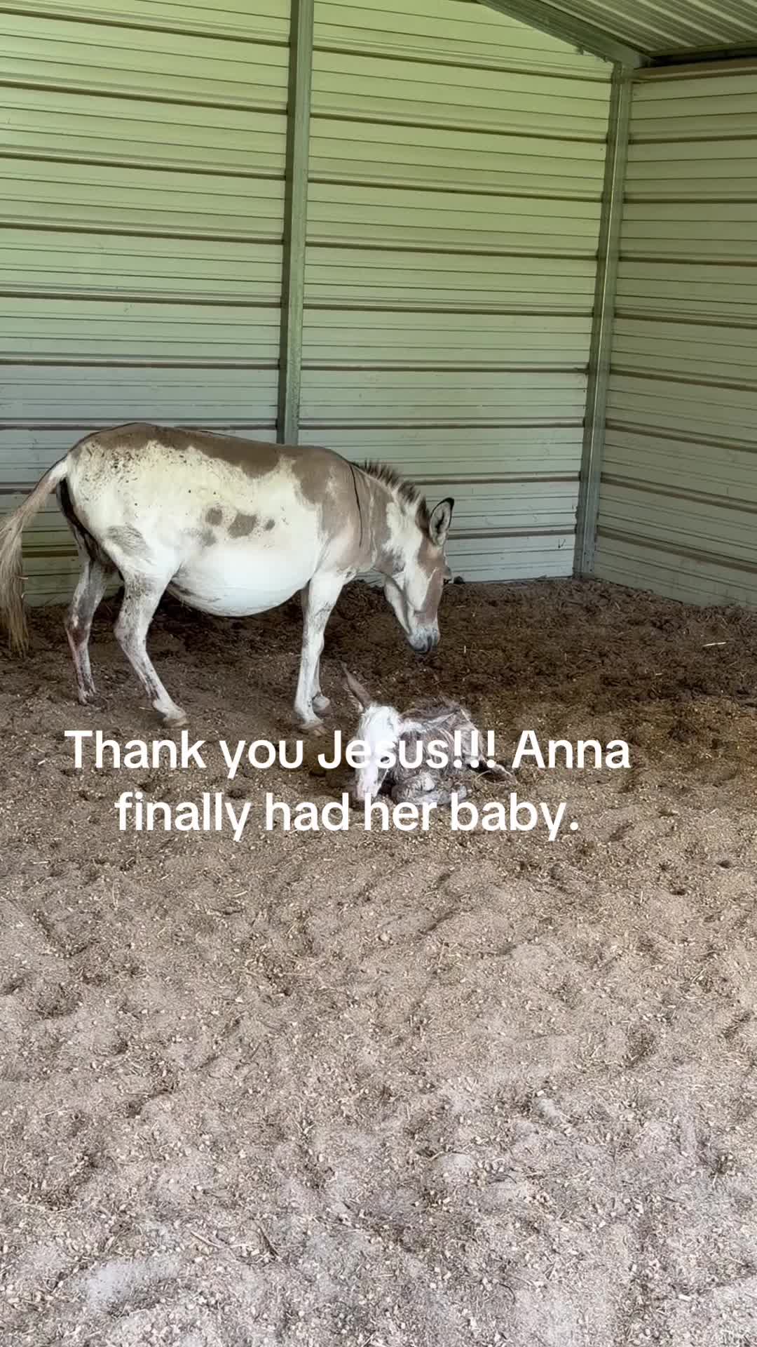 @Kelley Farms