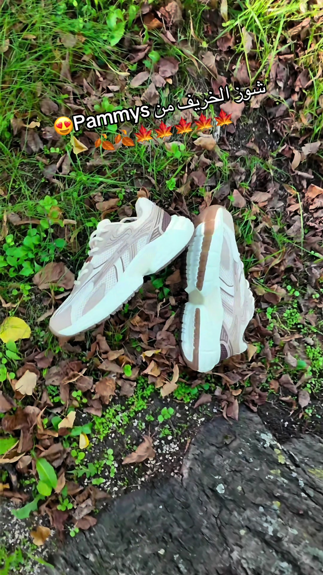 @Angebot in Deutschland 🇩🇪