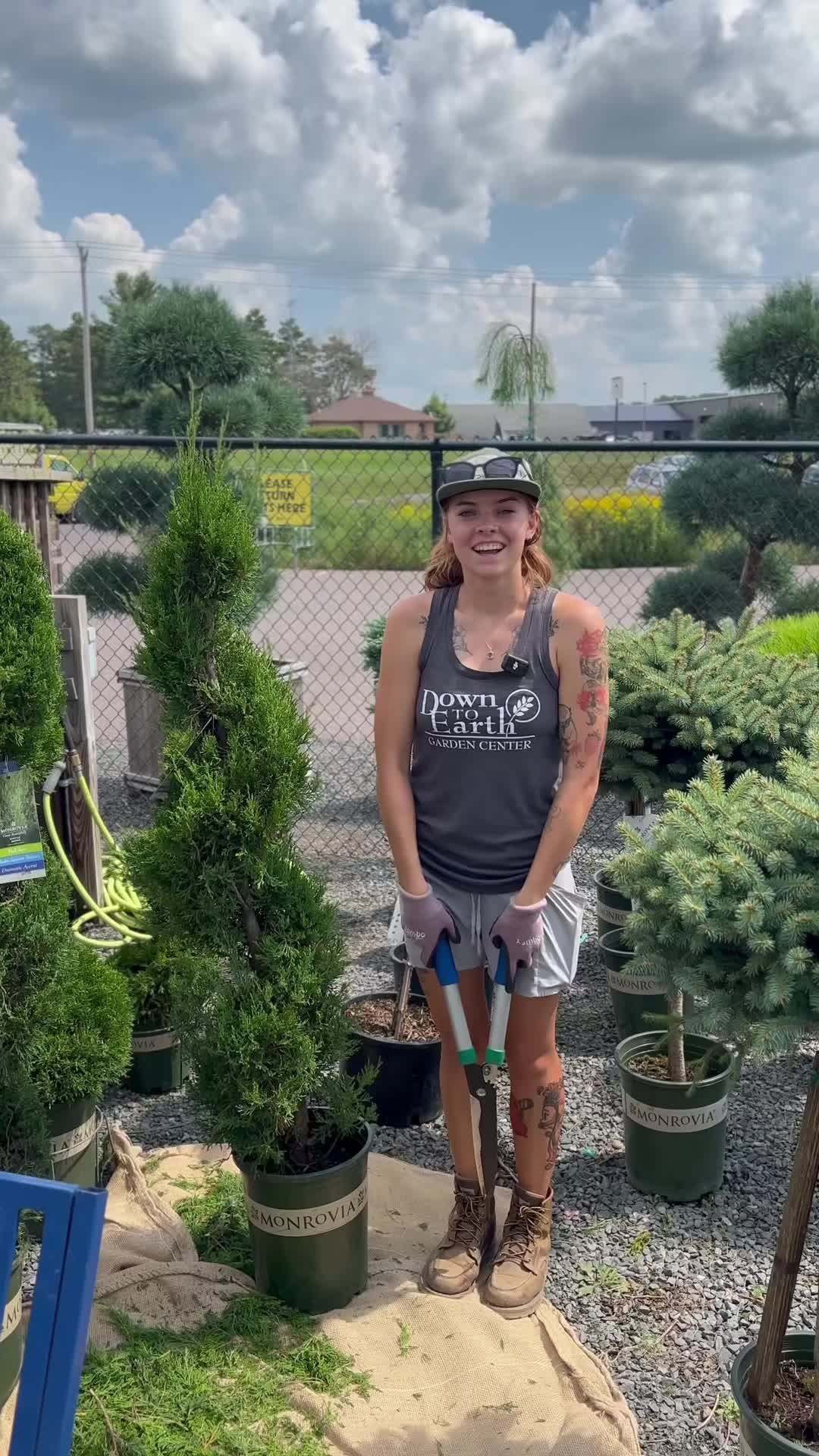 @Down to Earth Tropicals