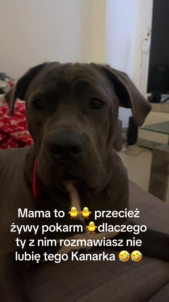 @malutka.beata.13