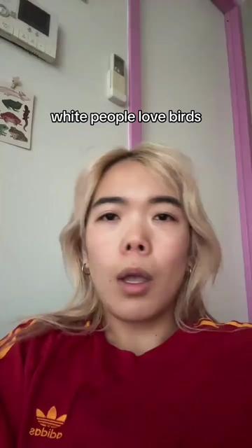 @Ande Linn