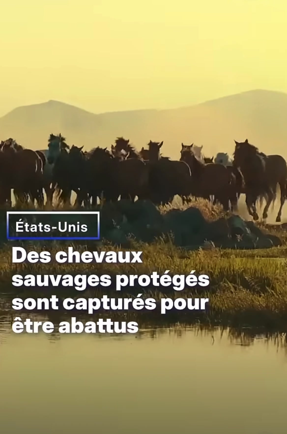 @🇫🇷CHBL🇫🇷