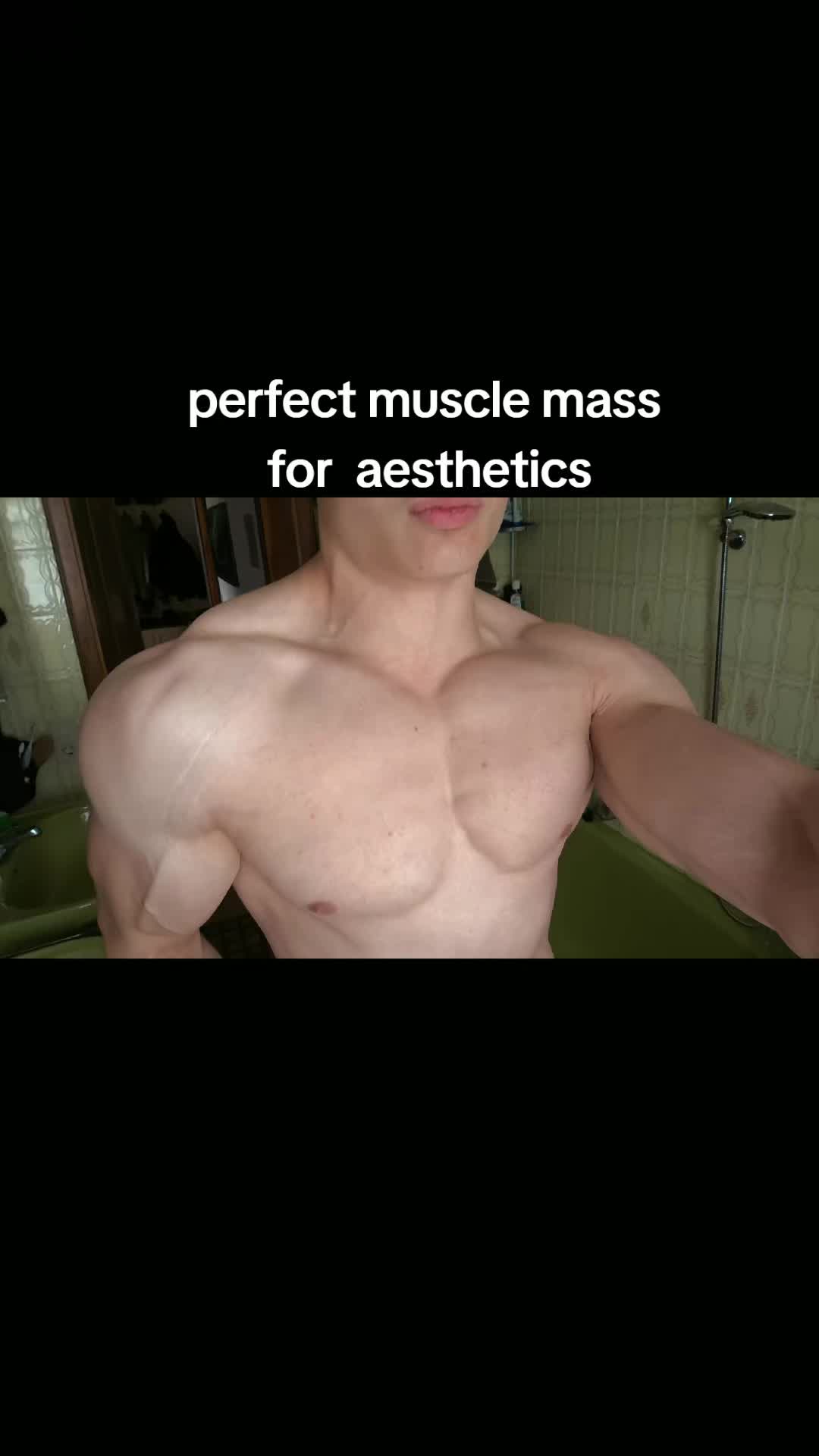 @Testo_Hamster