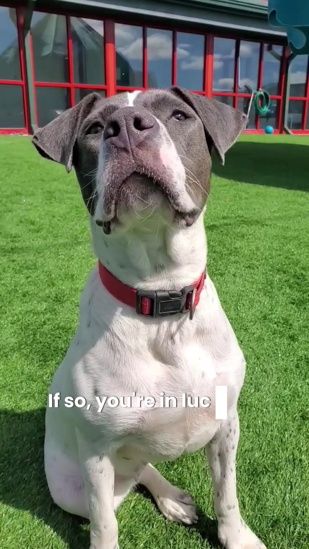 @Vanderburgh Humane Society