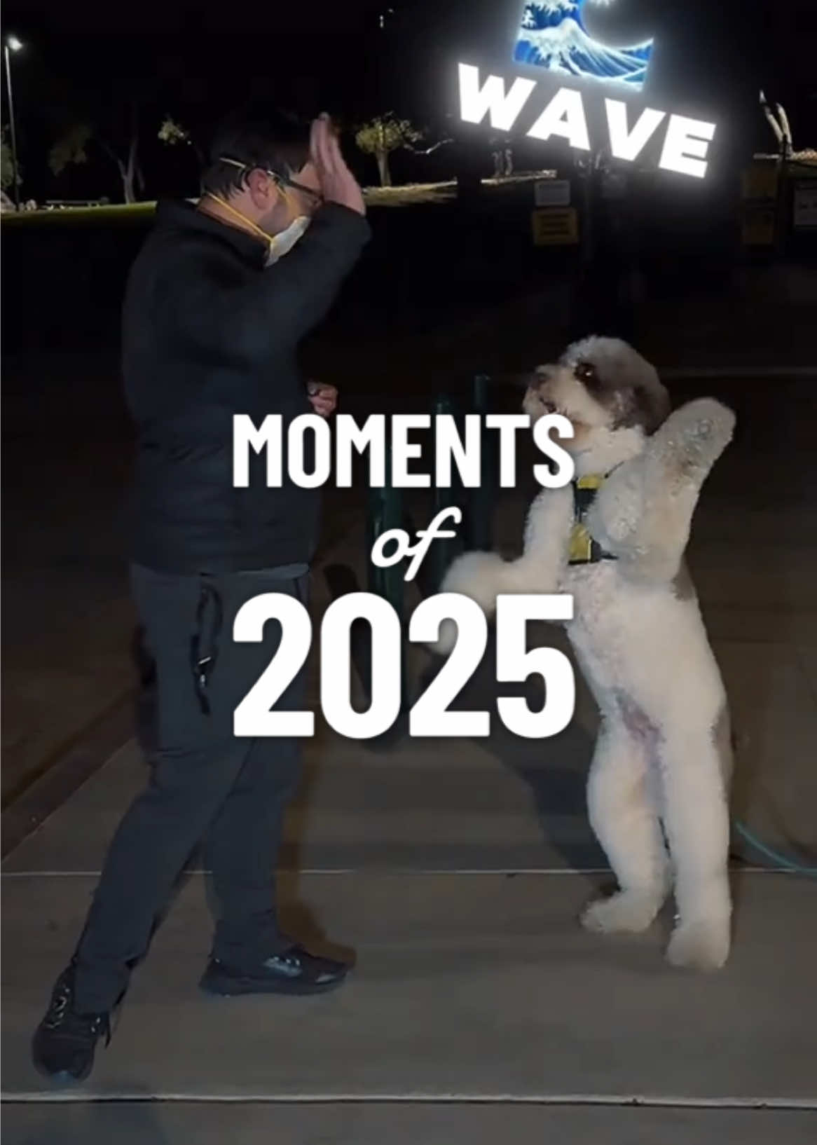 @TheScooterPup