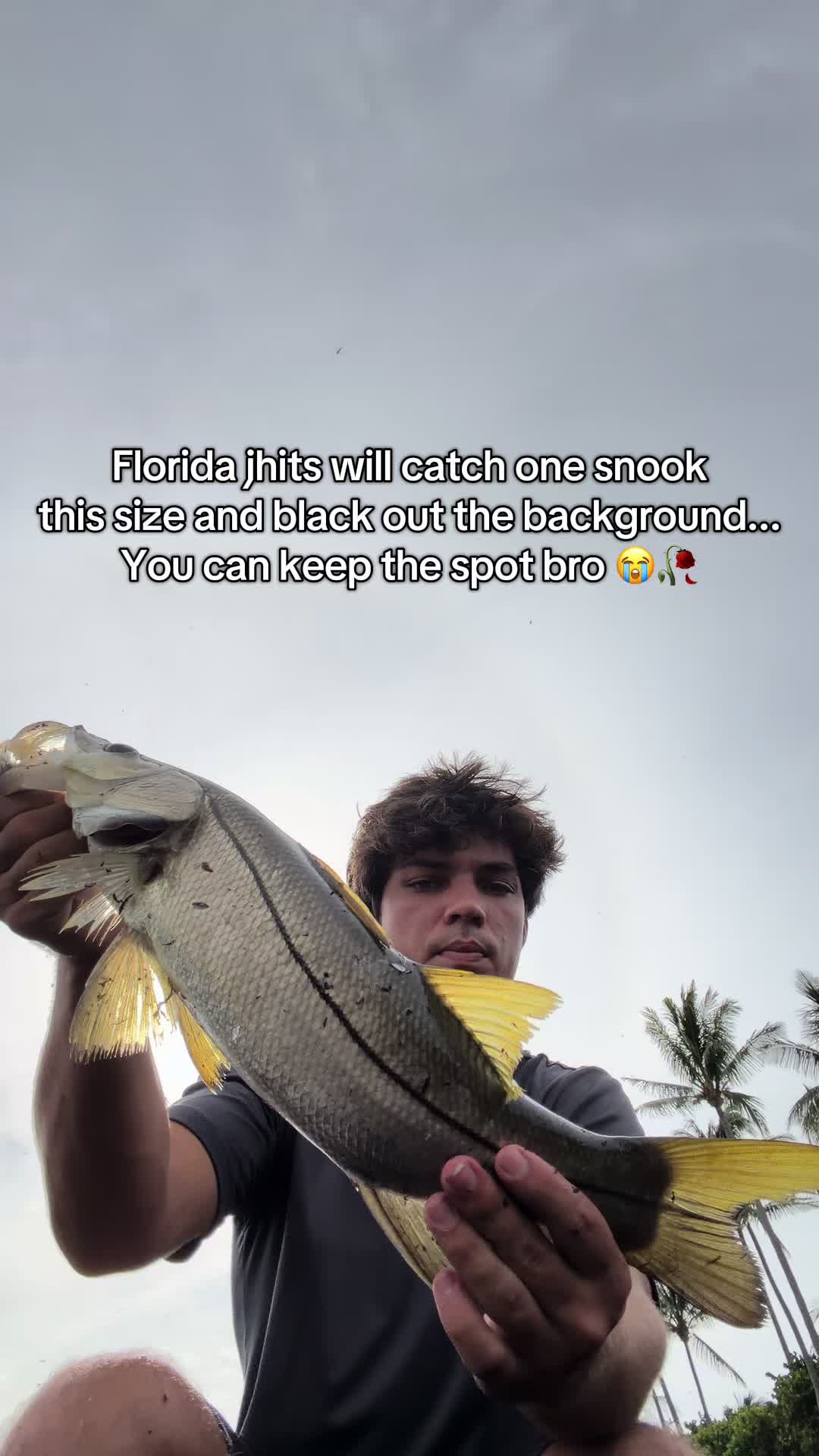 @Shark Boy