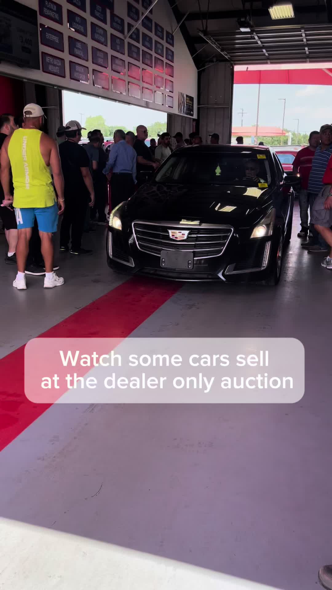 @l.guzman_2003 Luis G