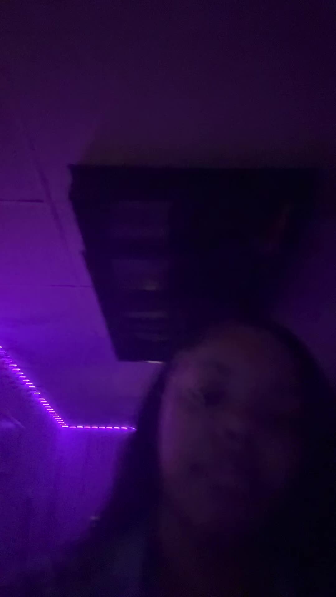 @khoriD
