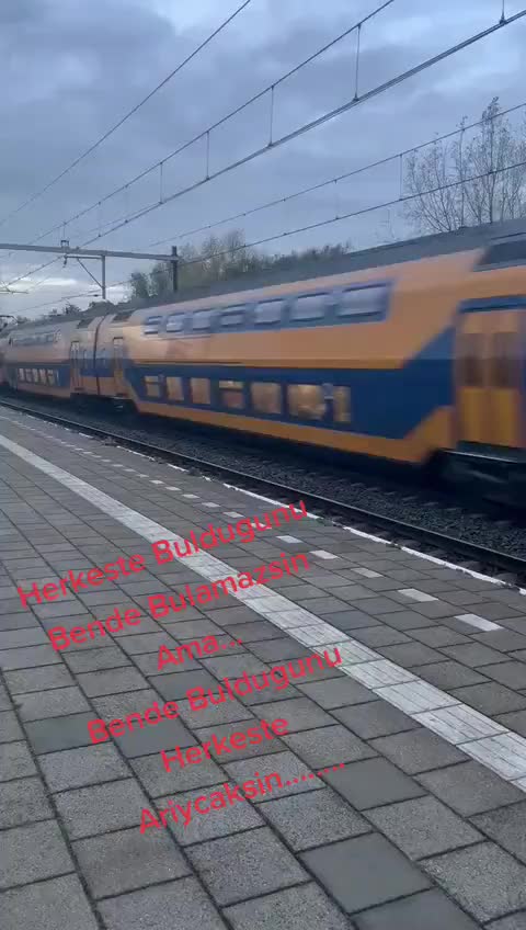 @seĺlie