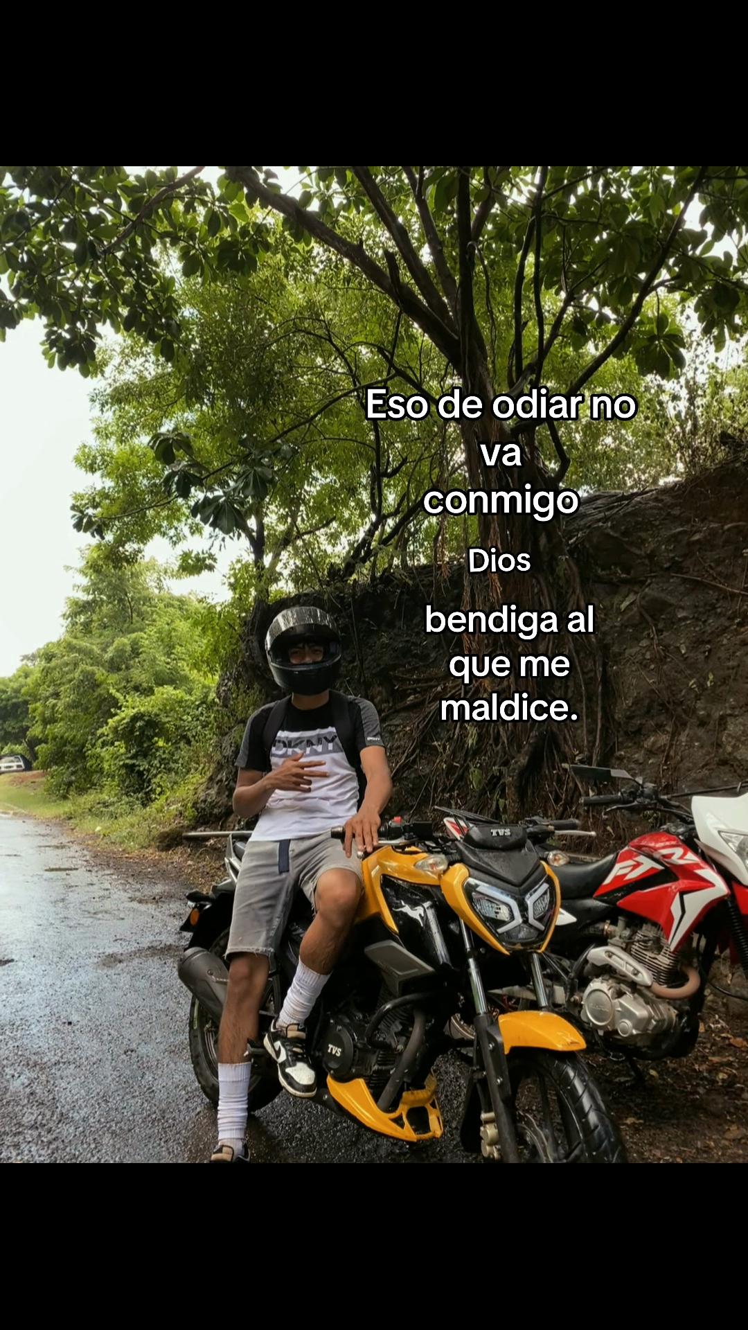 @ sv.brixn_11