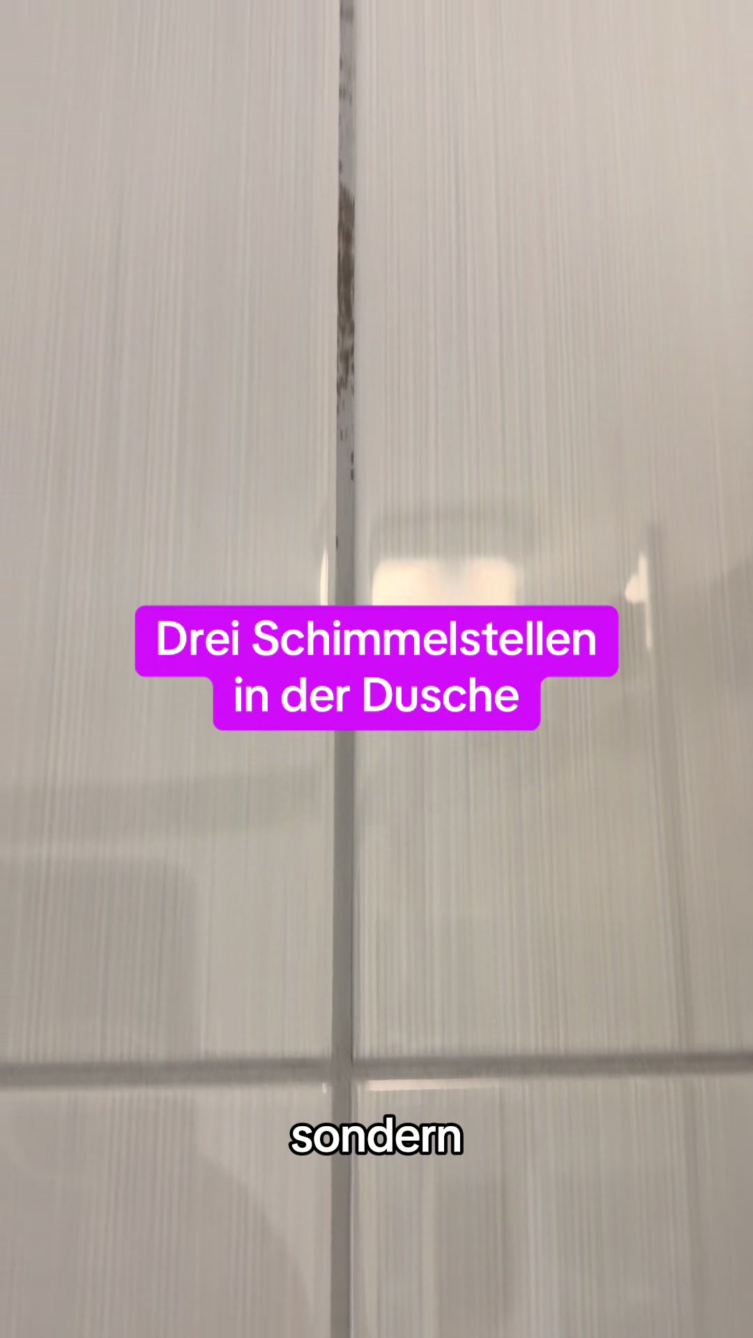 @Braunici