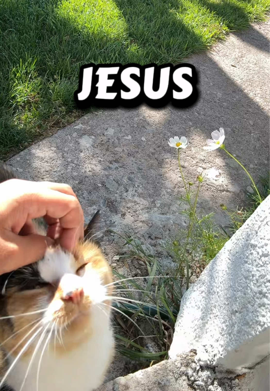 @ay_fanny✝️🩺🫀