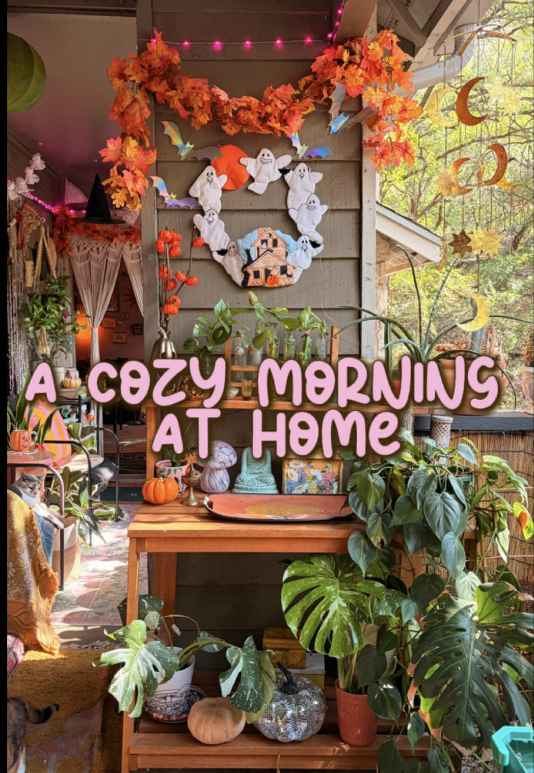 @Alissa | Cozy Home🌈🪩✨