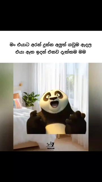 @<м&sigma;&cent;н&iota; ѕт&alpha;т&upsilon;ѕ🐼🤍