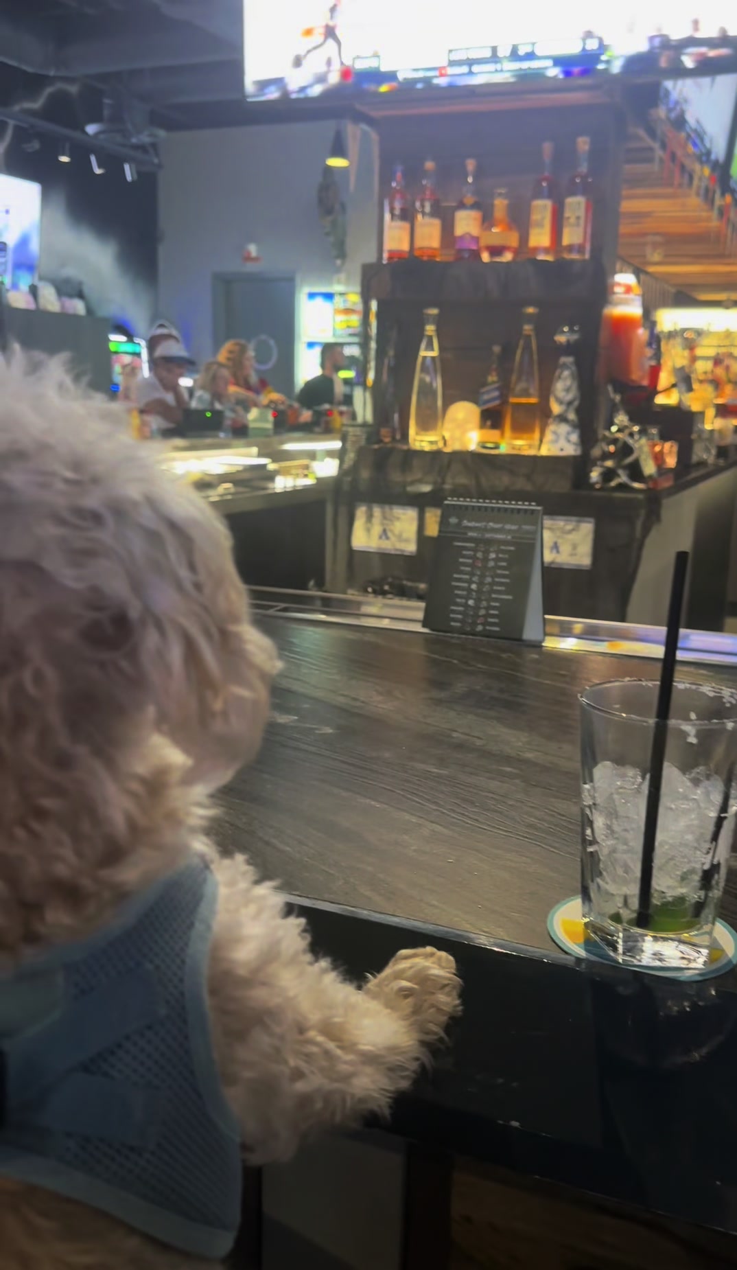 @He Was A PoodleBoi
