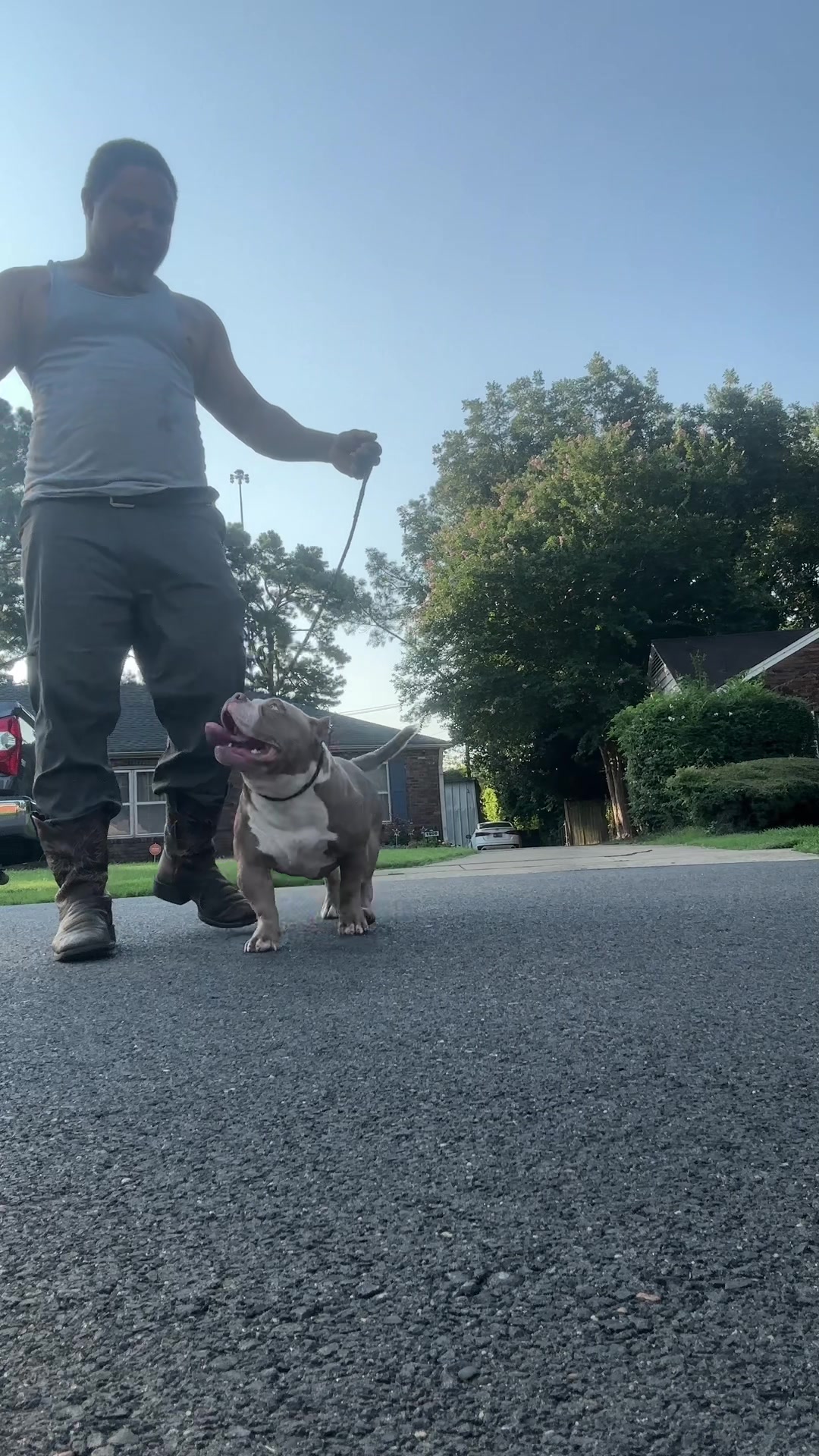 @Carters BullyHub