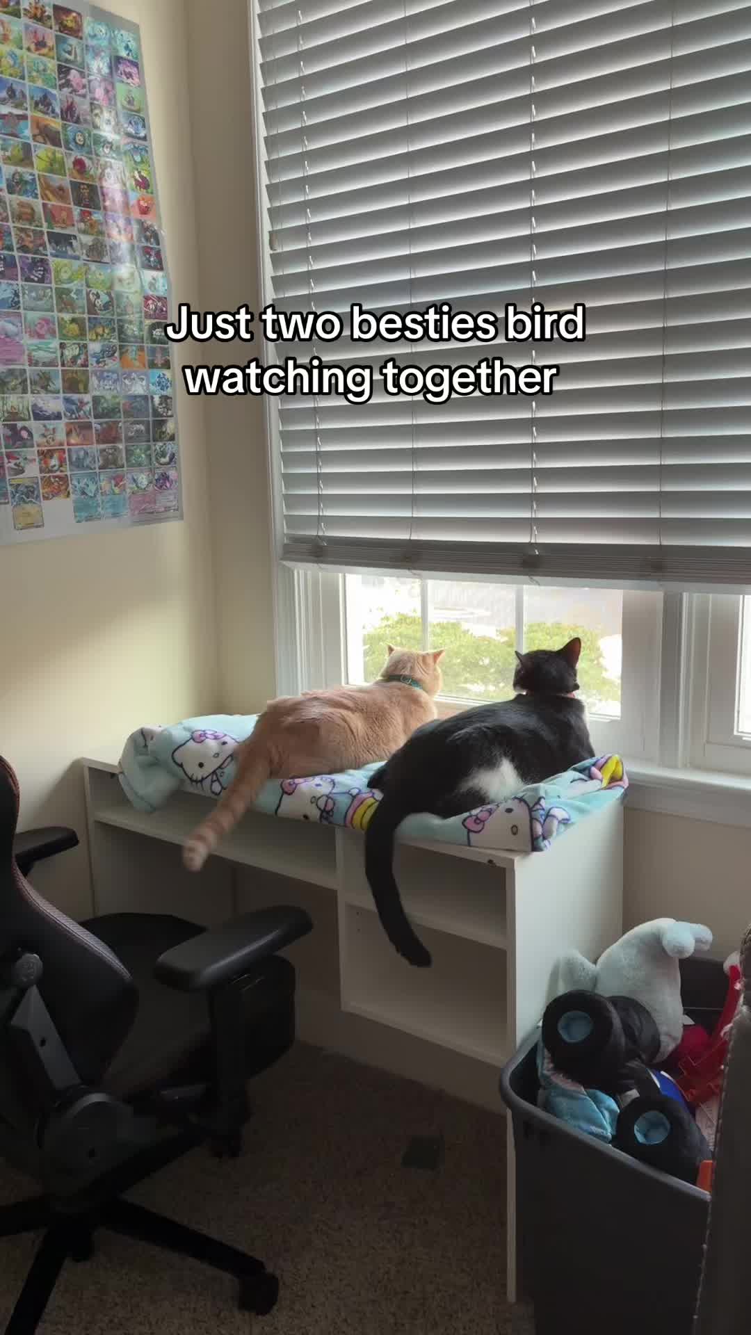 @Kat