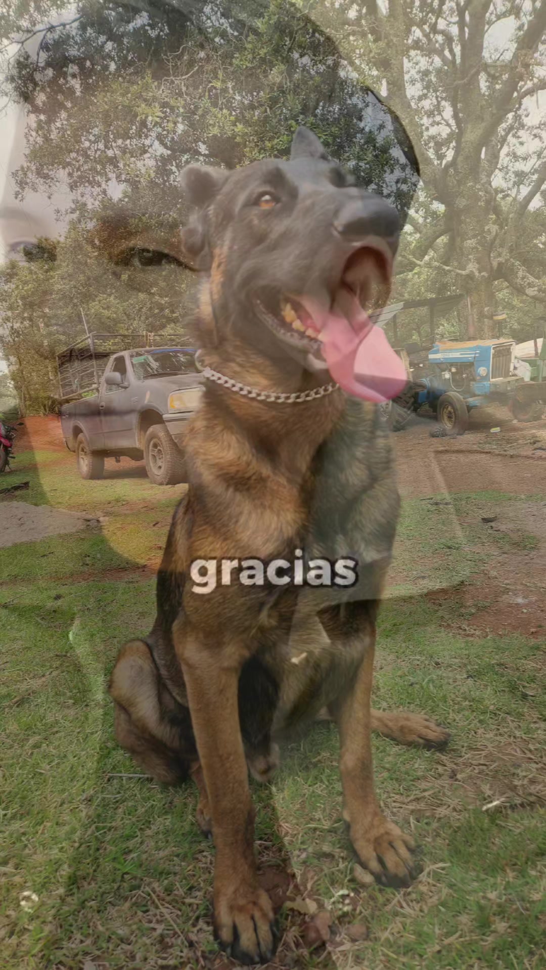 @Geli Francisco