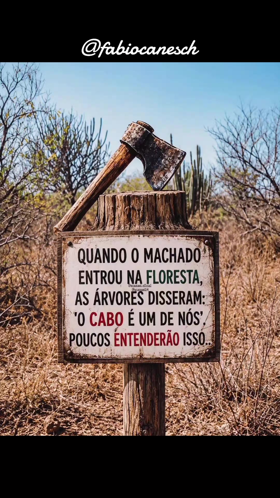 @F&aacute;bio caneschi de Oliveira