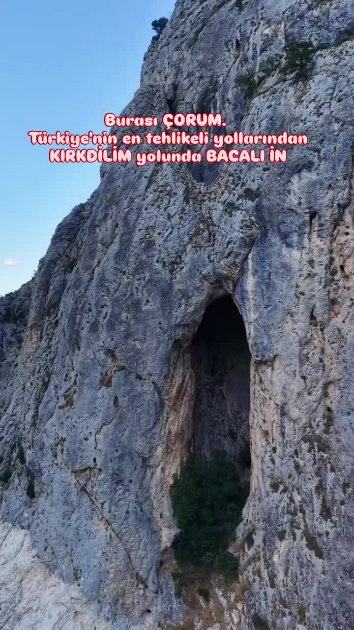 @Avrupadaki_Corumlular_19