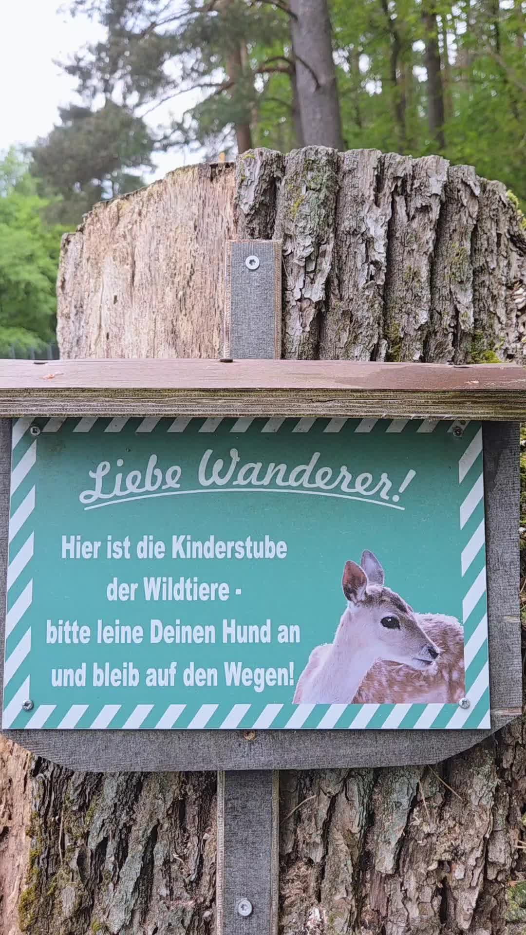 @Hans