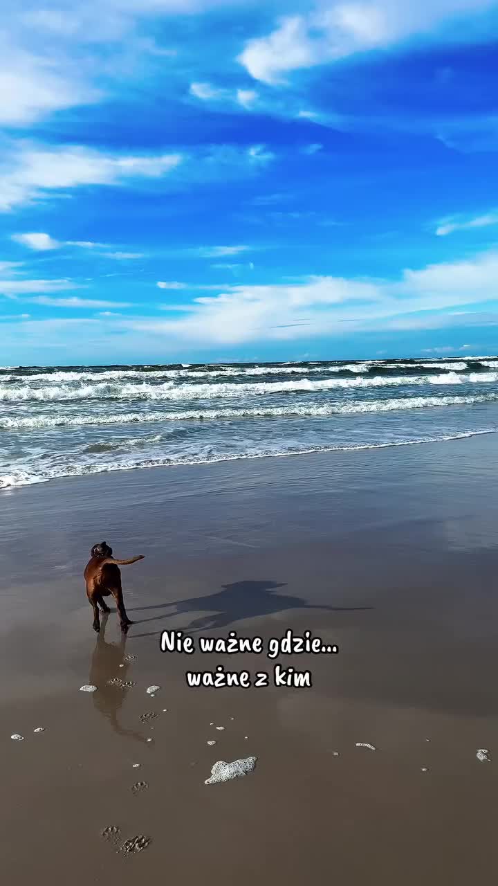 @Krzysztof Wójtowicz
