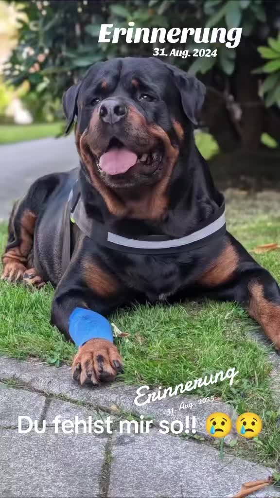 @Nicole❤️Schröder🖤Kowalski ❤️