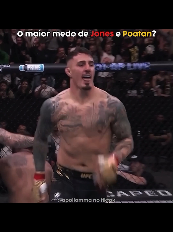 @Apollo 🇧🇷