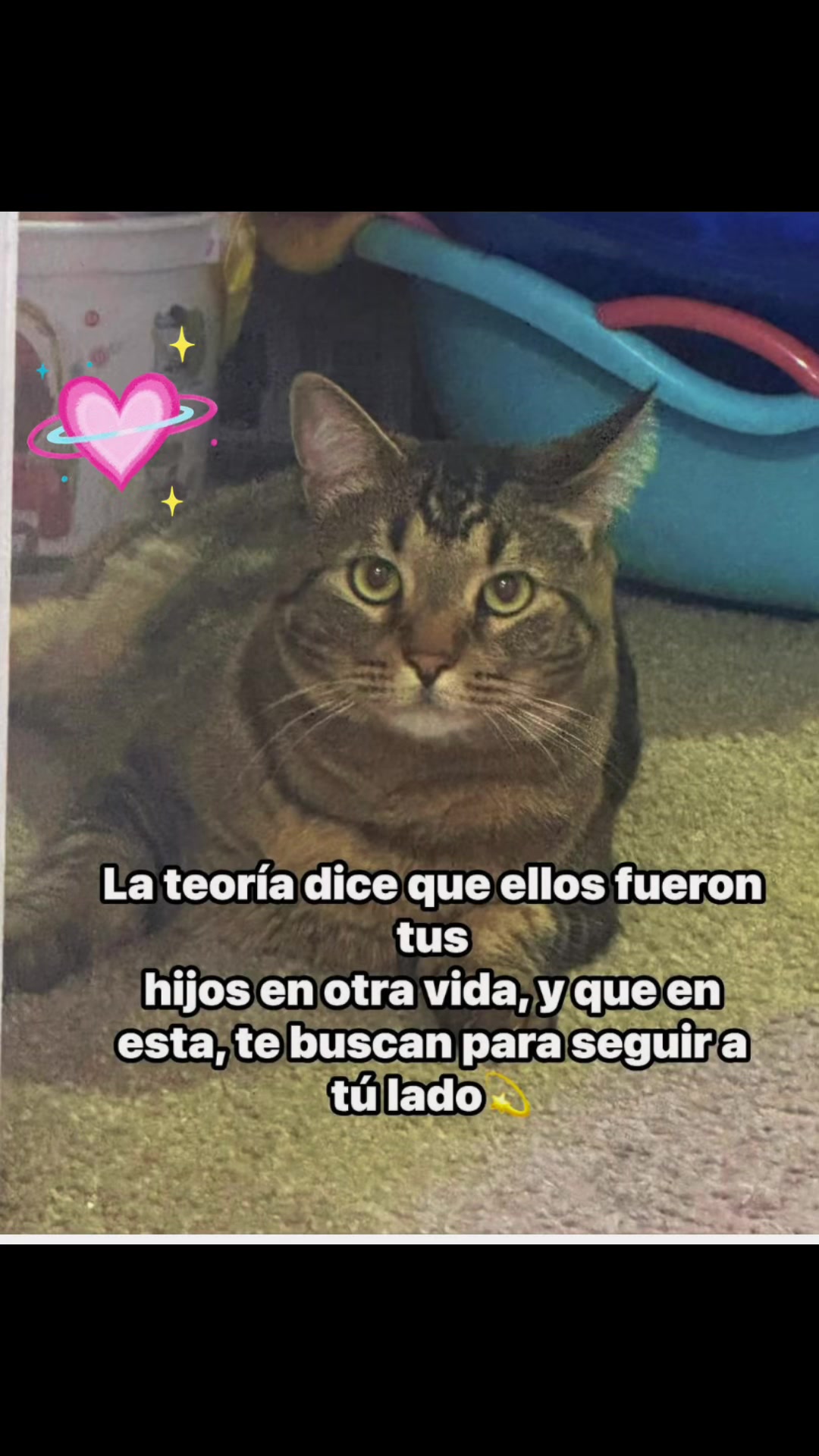 @Nora