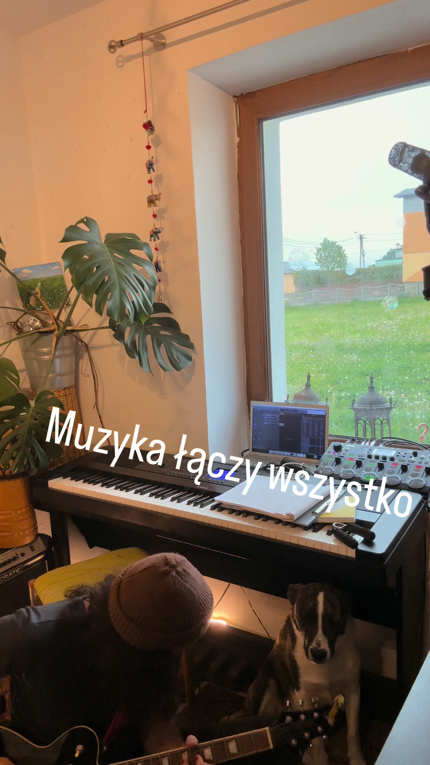 @dominik.czuz