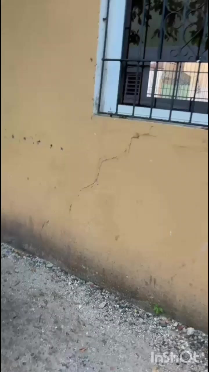 @guillermonelisjos