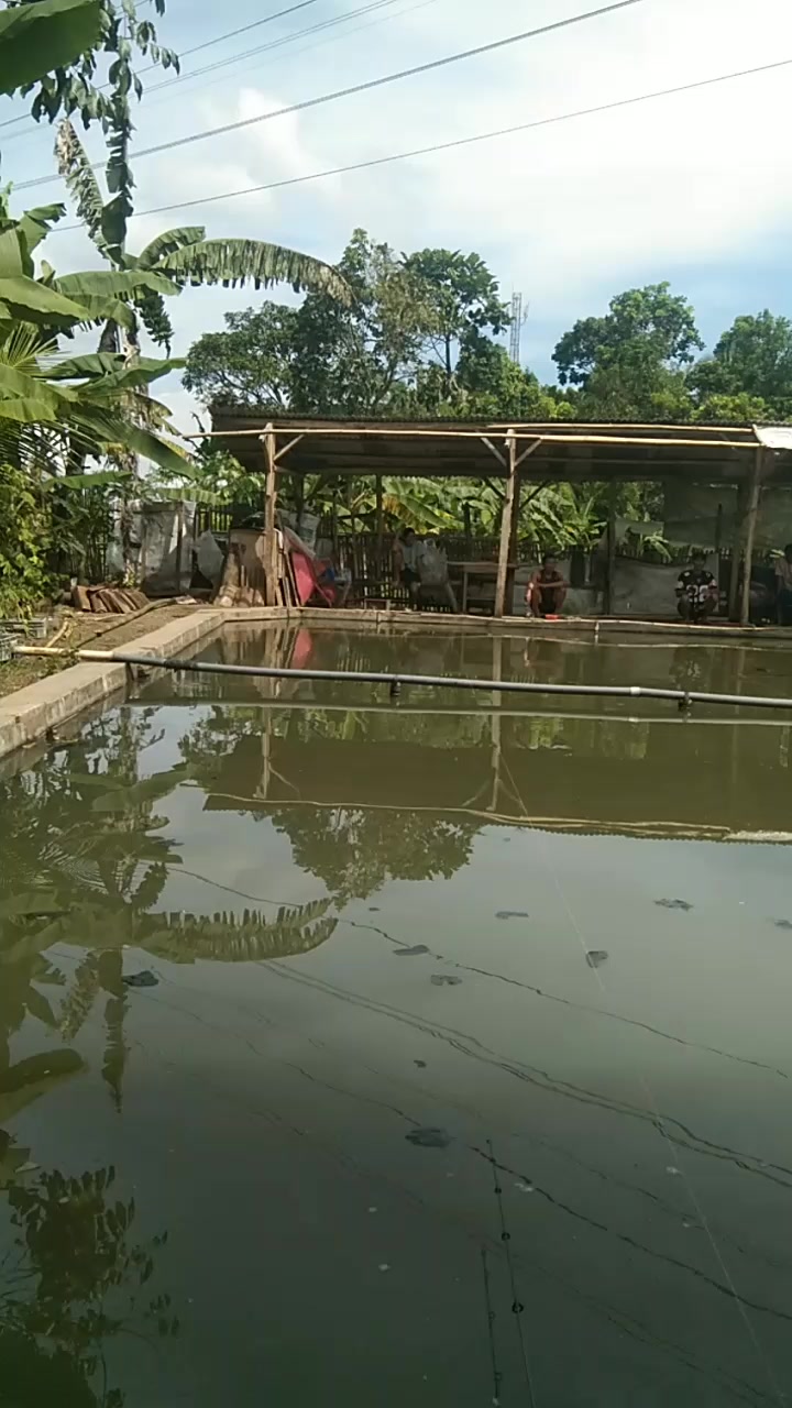 @Chuniel Putra Bungsu