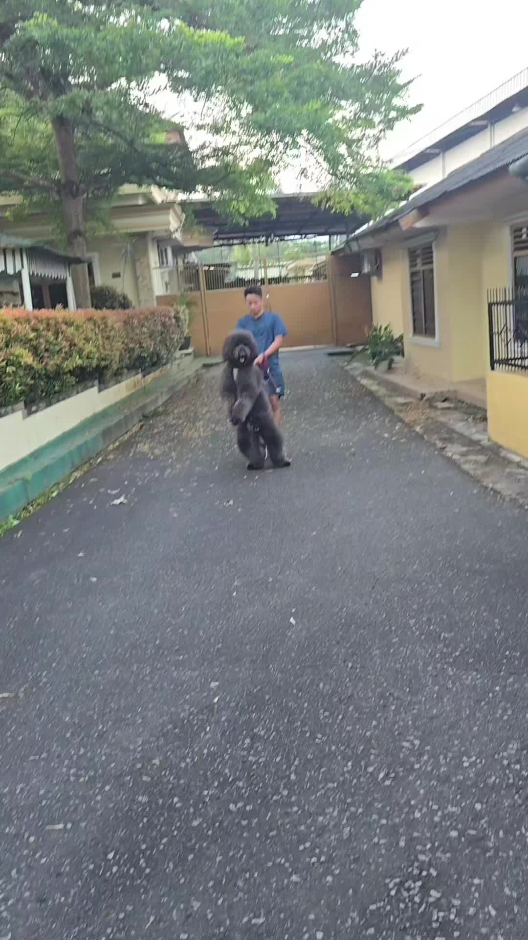 @MontyBardoKairosKingKaneBJ