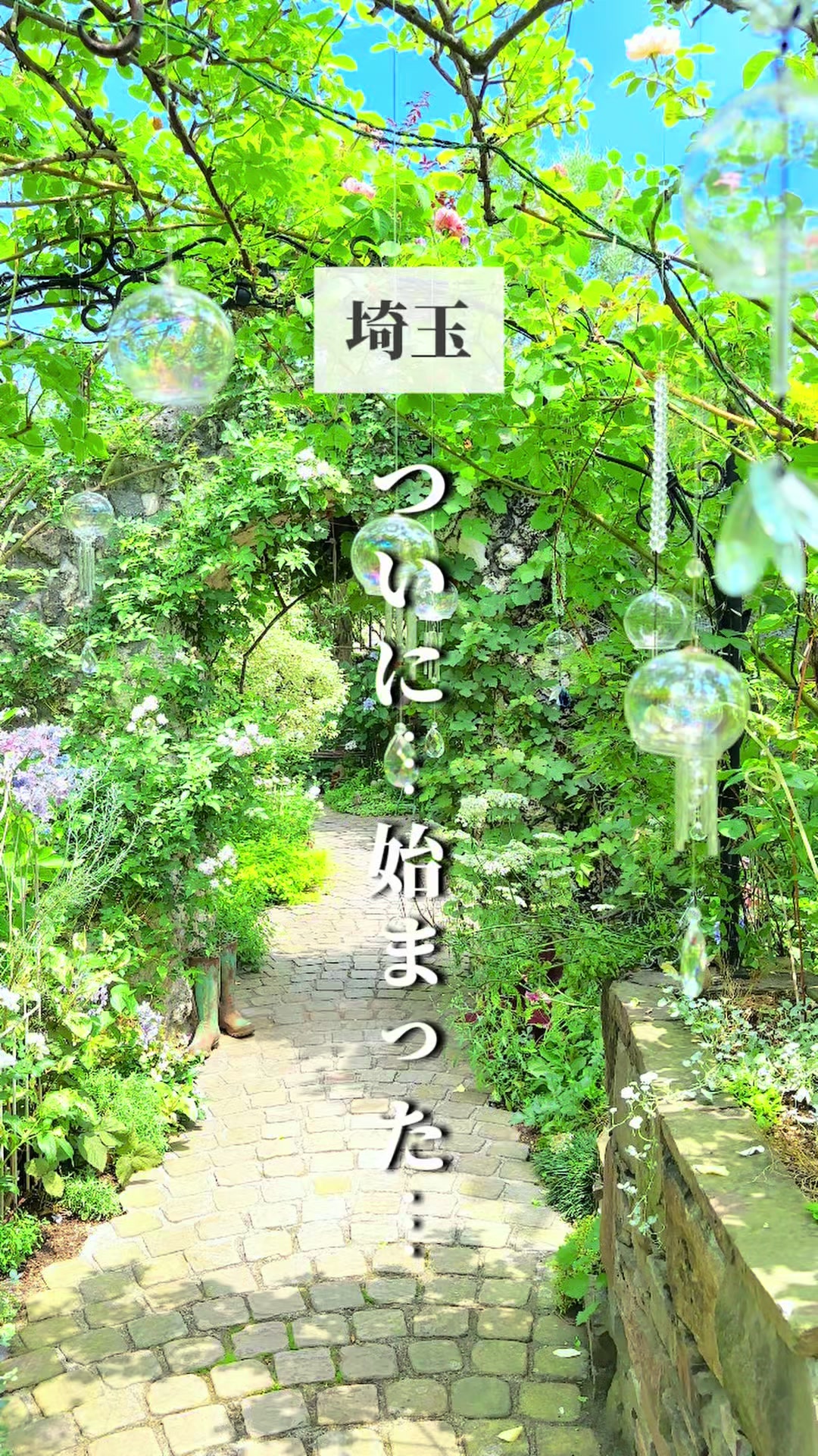 @さいたまとめ | 埼玉グルメ