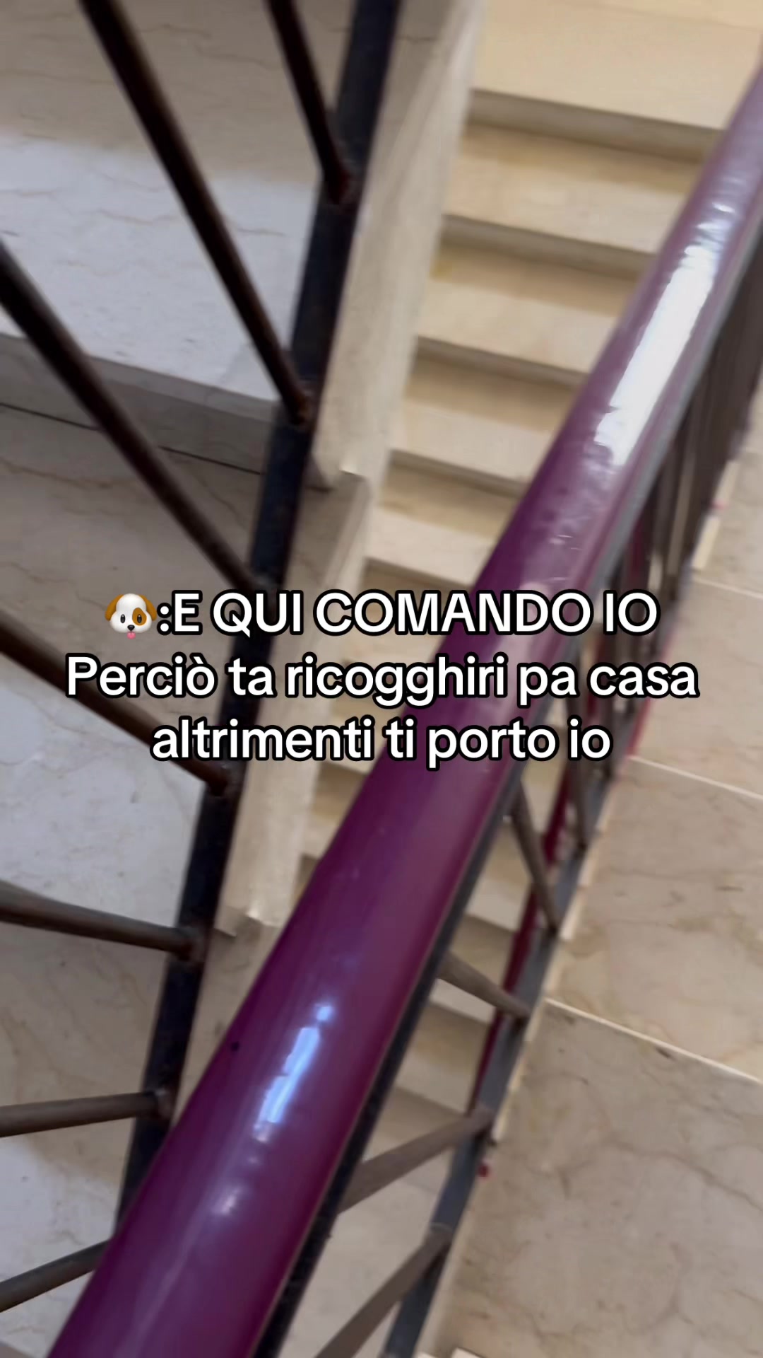 @Flavia Cacopardo🥀