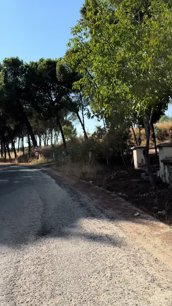 @🐆