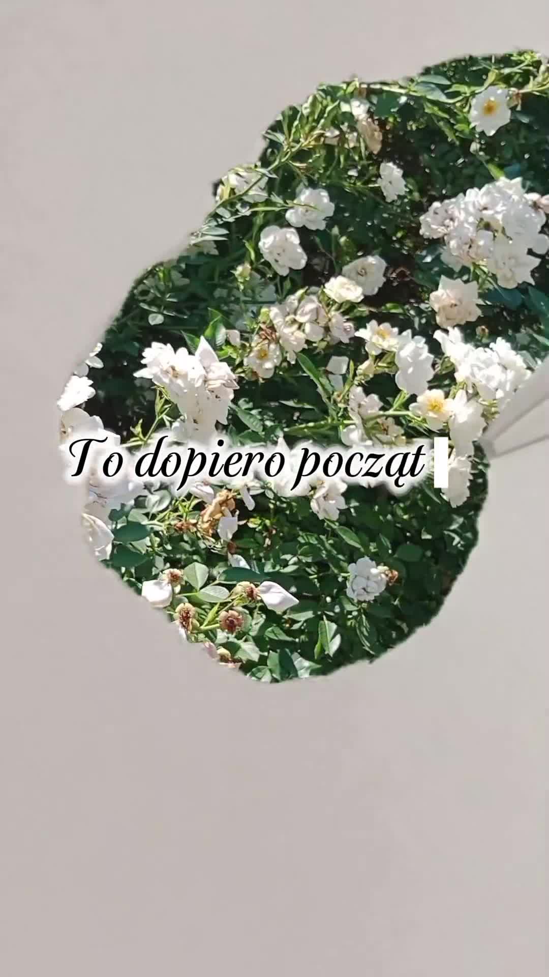 @Splotniczka-Justyna