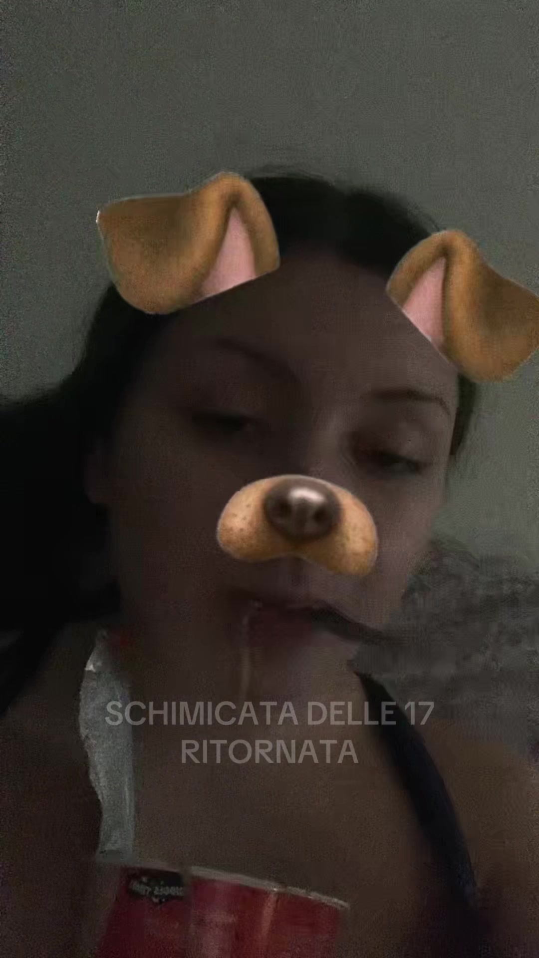 @𝓐🐈⬛